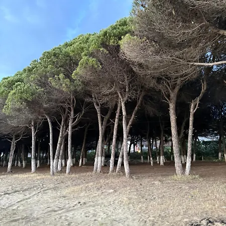 Apartamento Koko *
